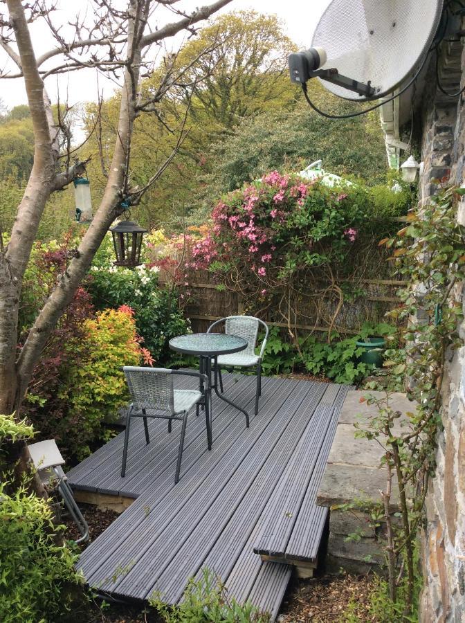 Guest house Cwmbach 4*